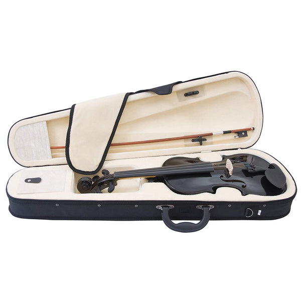 Violin Case